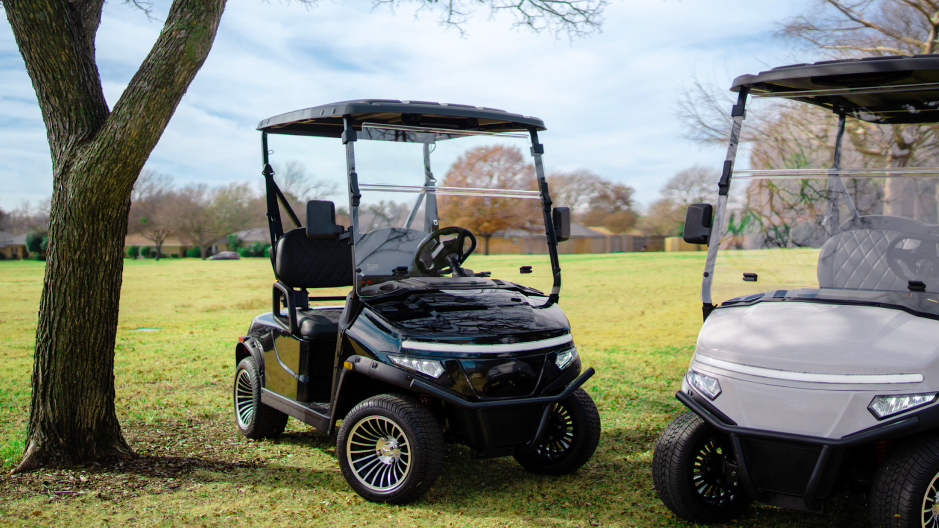 Black and white golf carts in Palm Desert parked on grass with windshields, canopy roofs, and custom wheels.