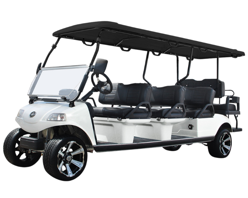 Evolution Turfman 200 Plus