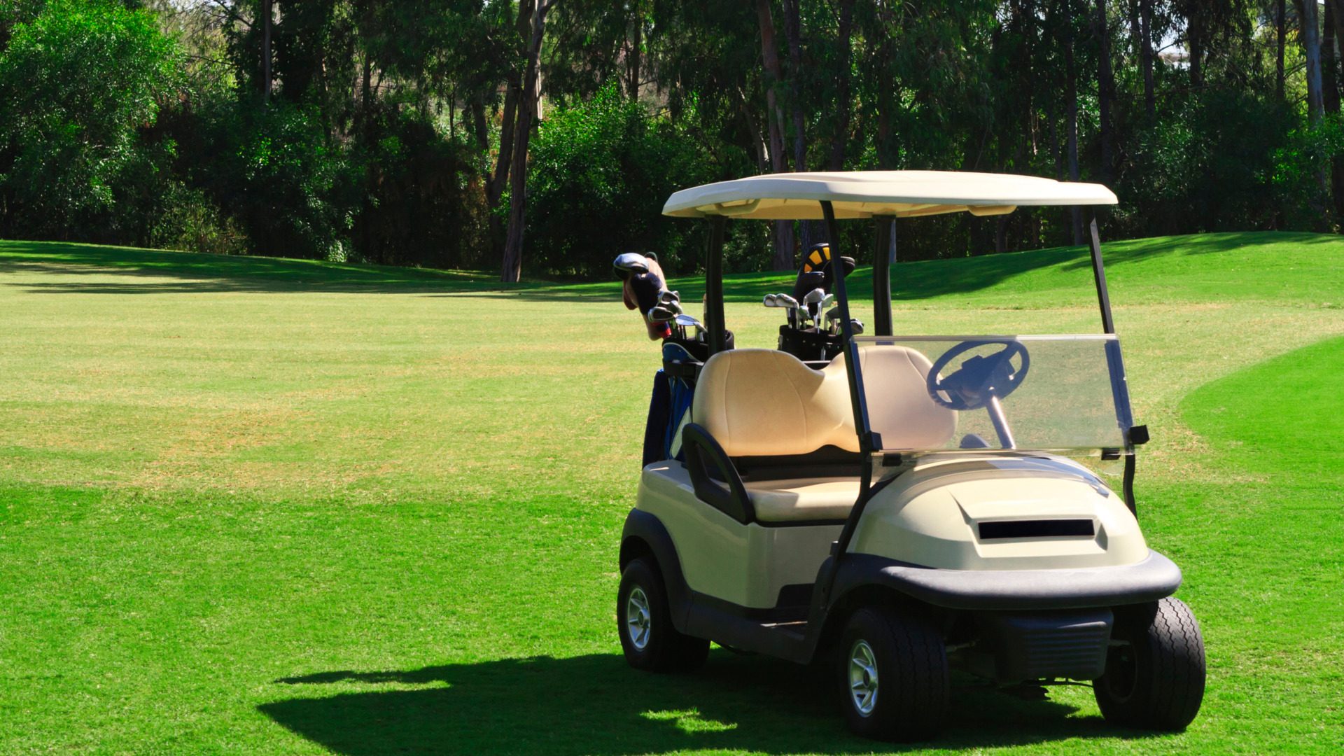 Beige golf cart parked on a sunny golf course with green fairway and trees in the background.